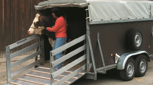 Viehanhänger mit Rampe, eine Frau führt ein Pferd hinein
